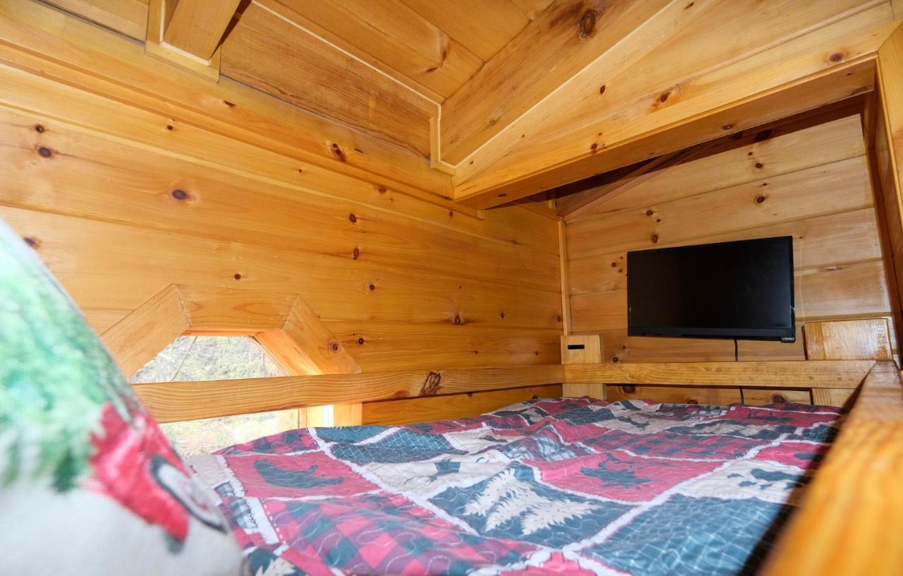 Lazy Bear Lodge Гетлинбург Екстериор снимка